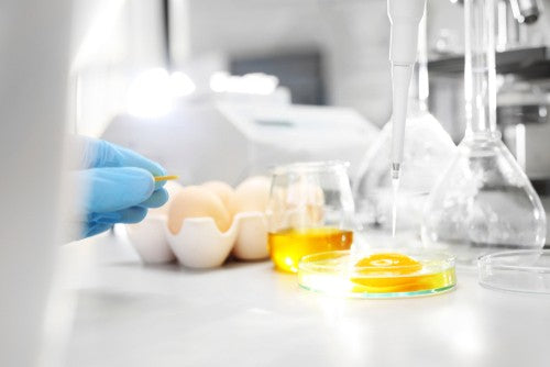 Aminogramme et valeur biologique des protéines