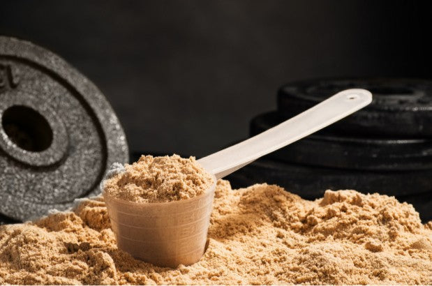 Whey ou caséine : quelles différences ?