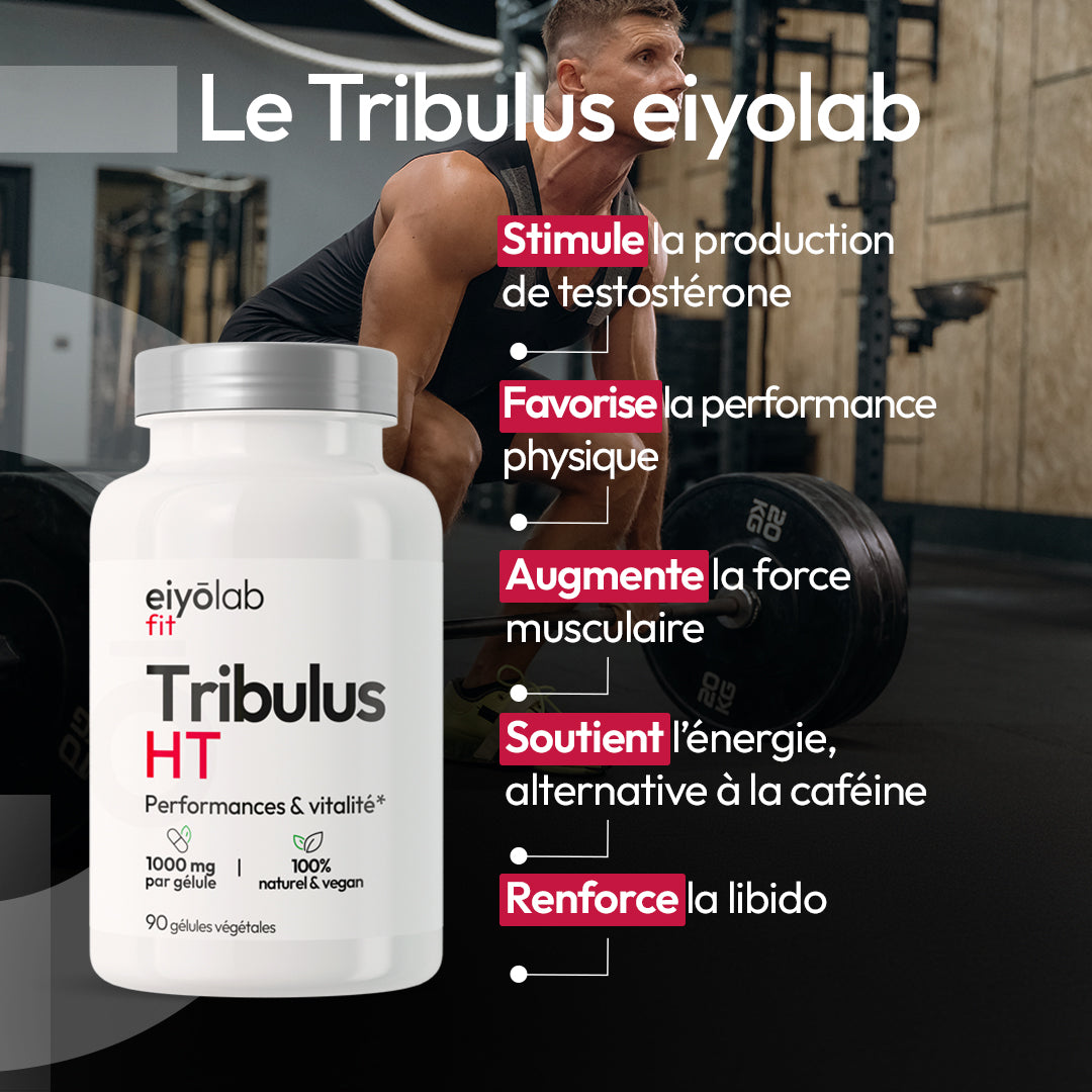 Tribulus HT