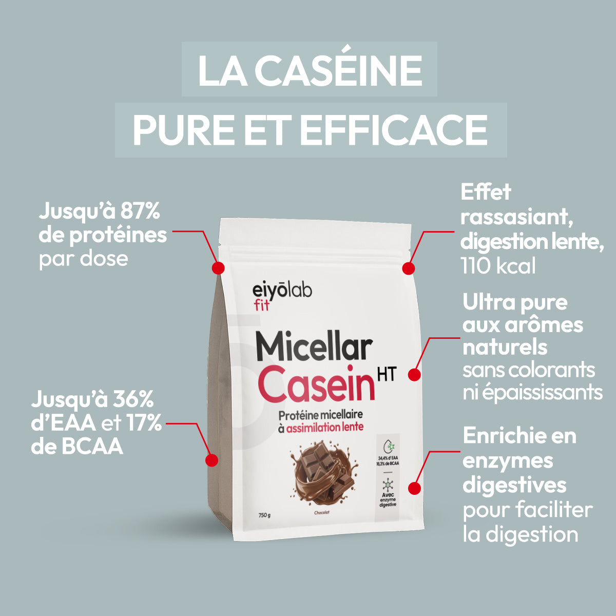 Micellar Casein HT