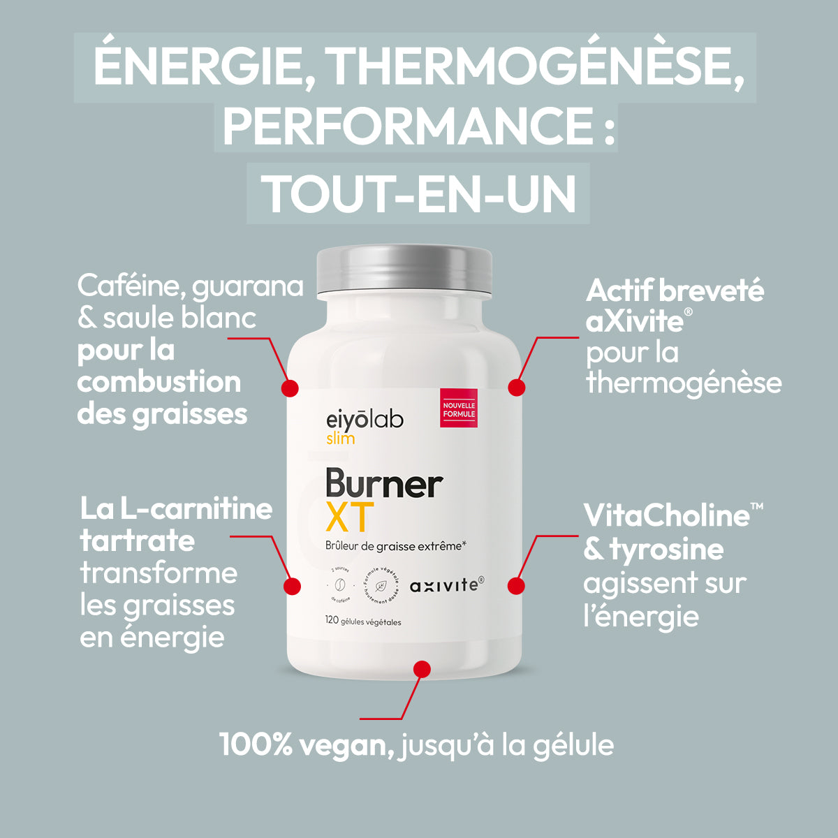 Burner XT