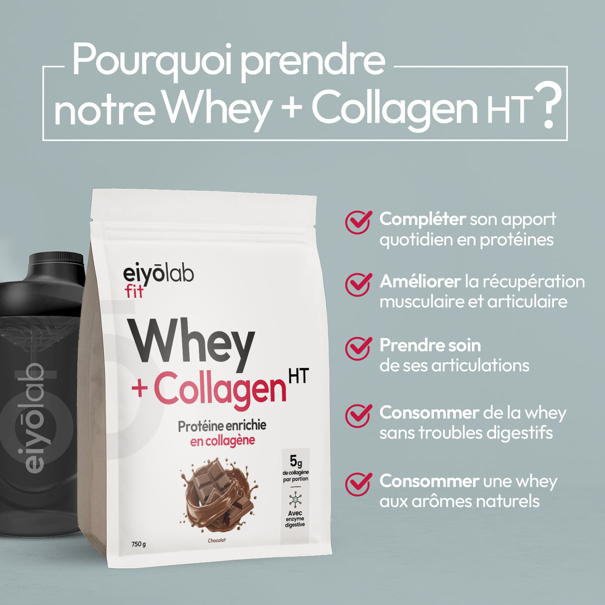 Whey + Collagen HT