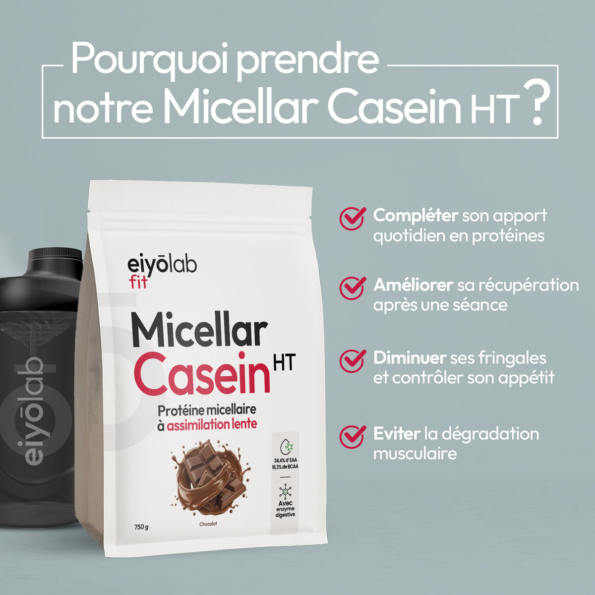 Micellar Casein HT