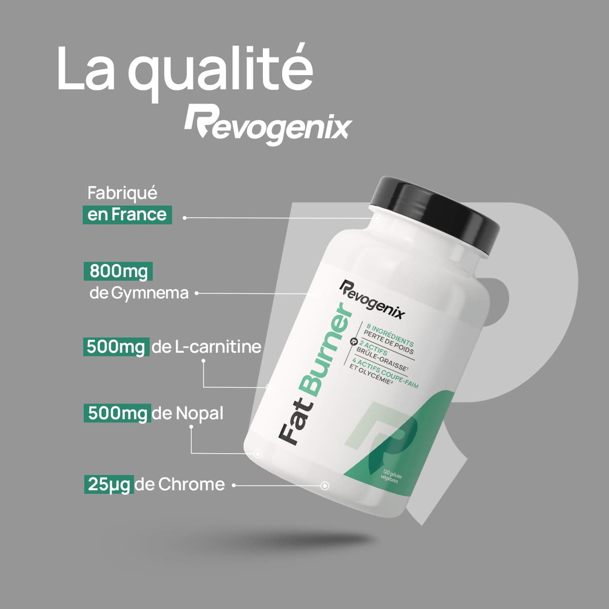Fat Burner