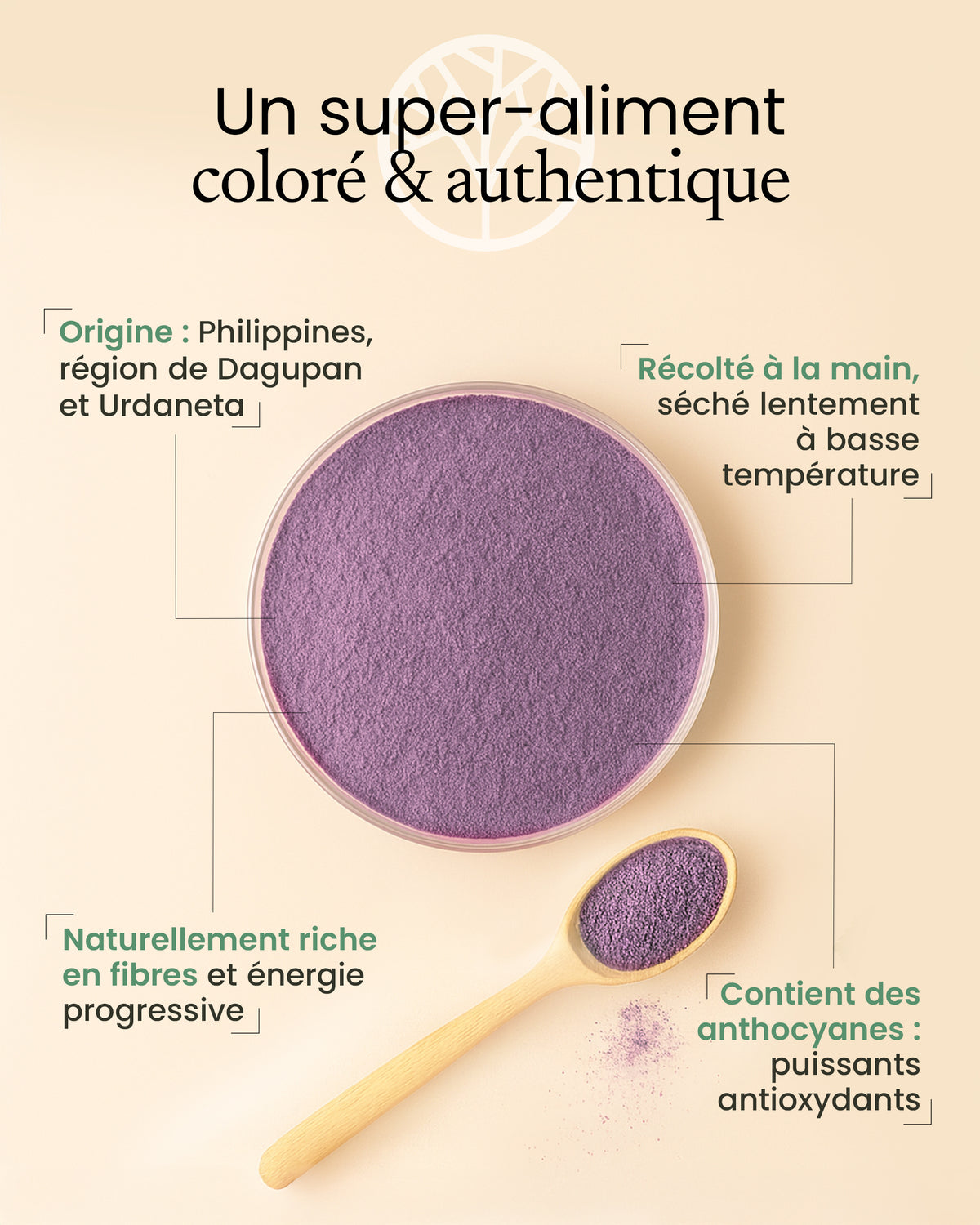 Ube