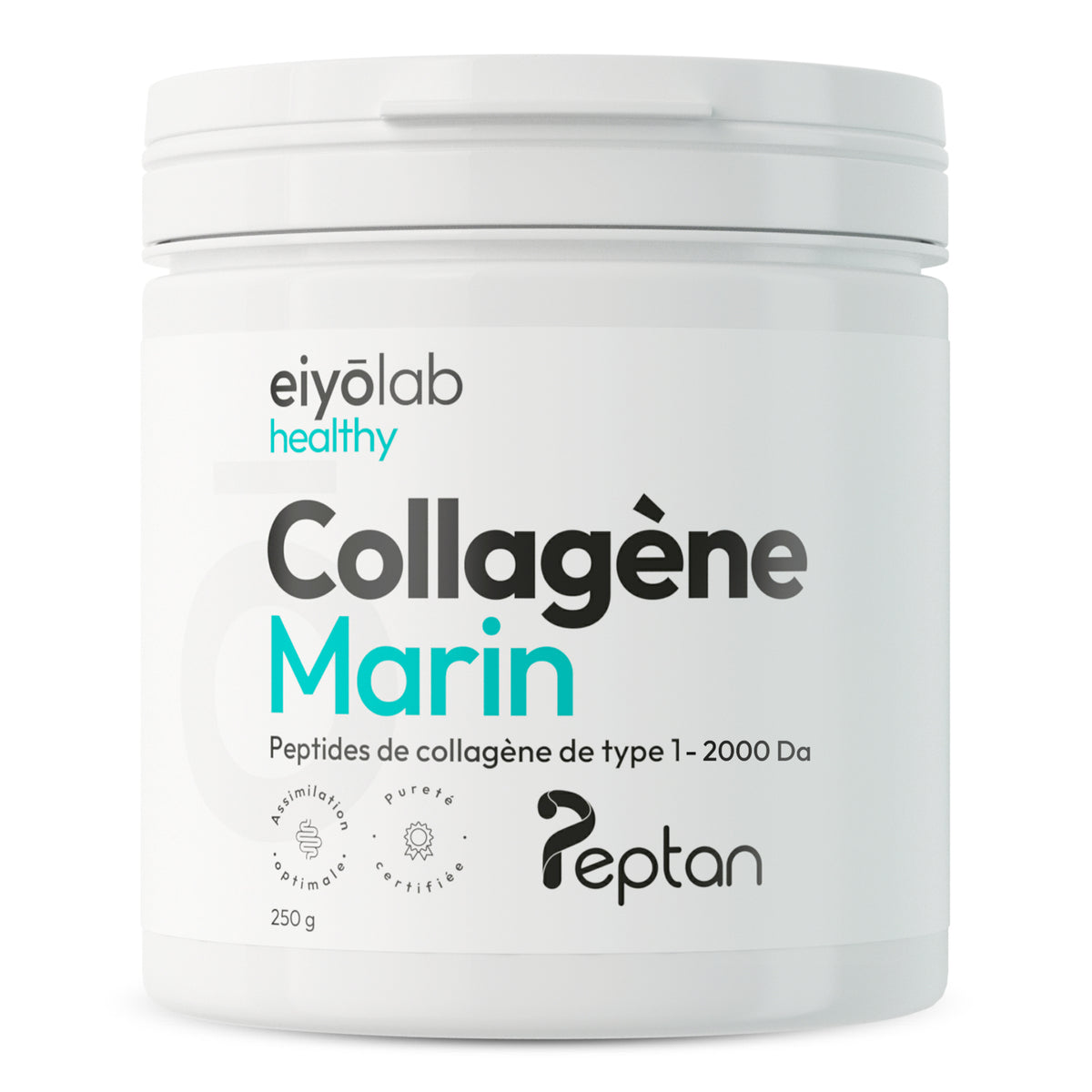 Collagène marin en poudre