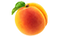 Abricot