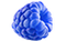 Blue Raspberry
