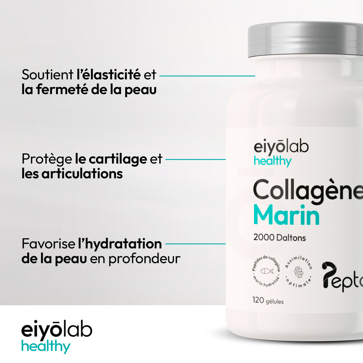 Collagène marin