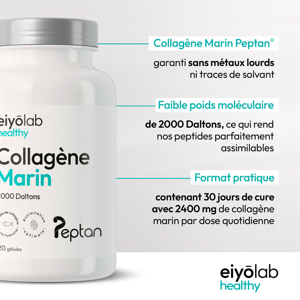 Collagène marin