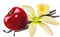 Cerise vanille