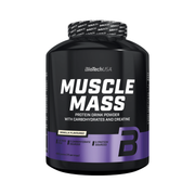 Muscle Mass