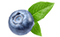 Myrtille
