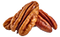 Noix de pecan
