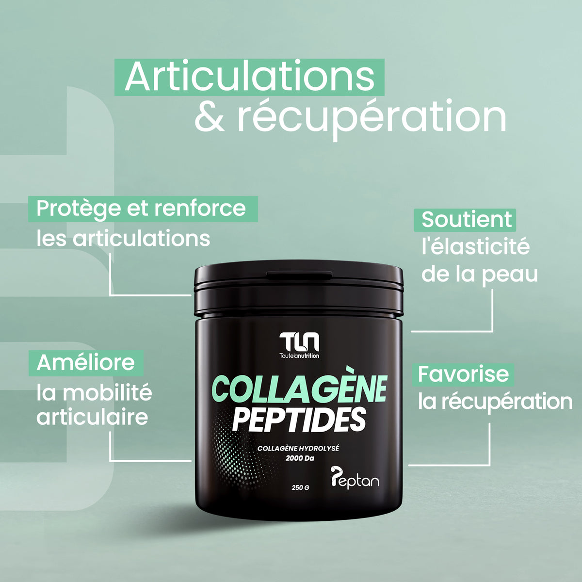 Collagène Peptides - Peptan®
