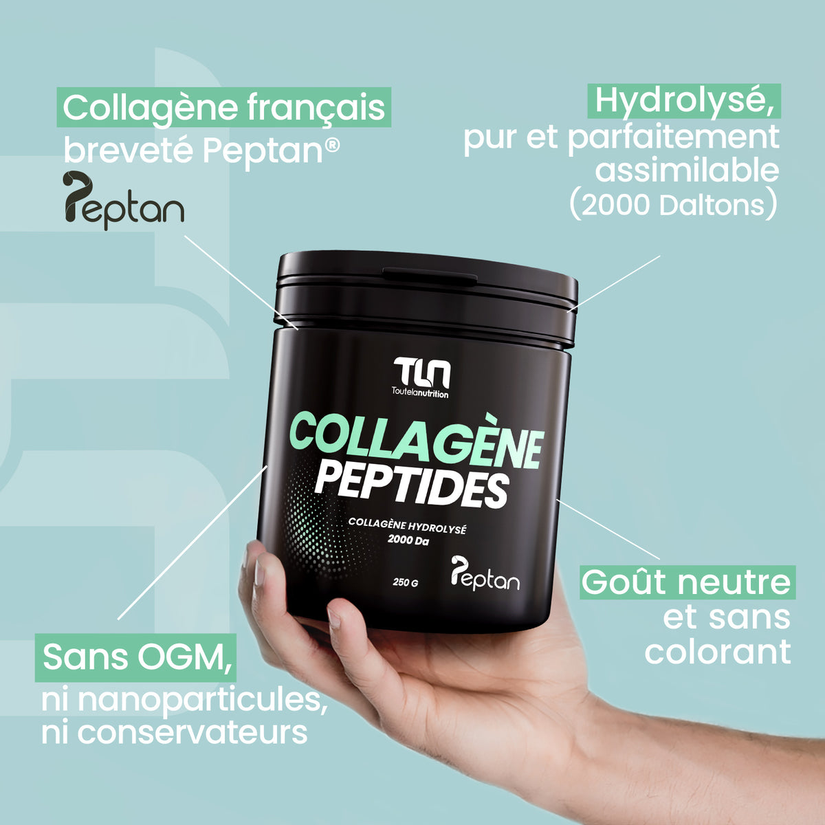 Collagène Peptides - Peptan®