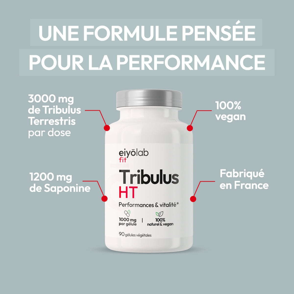Tribulus HT