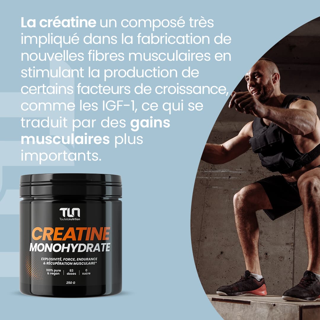Créatine Monohydrate