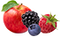 Pomme / Fruits Rouges