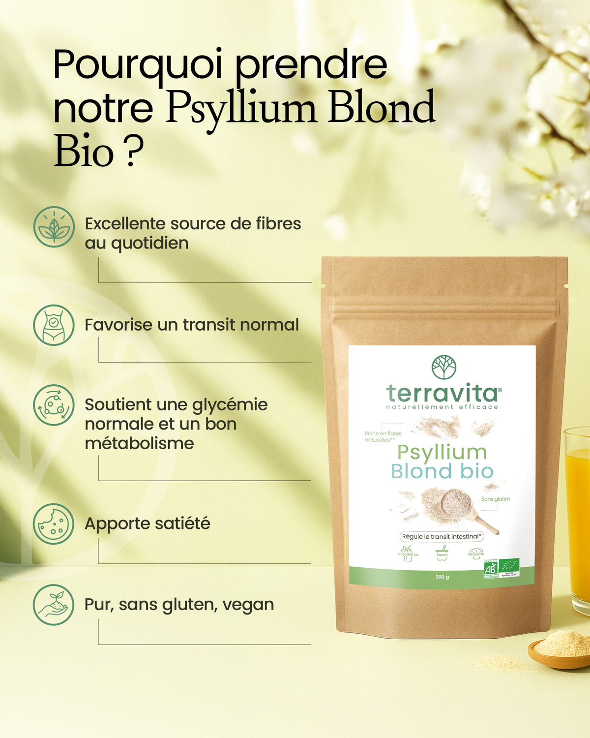 Psyllium blond bio