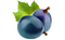 raisin bleu