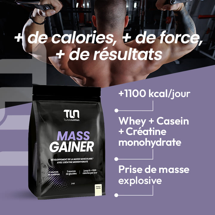 Composition du Mass Gainer