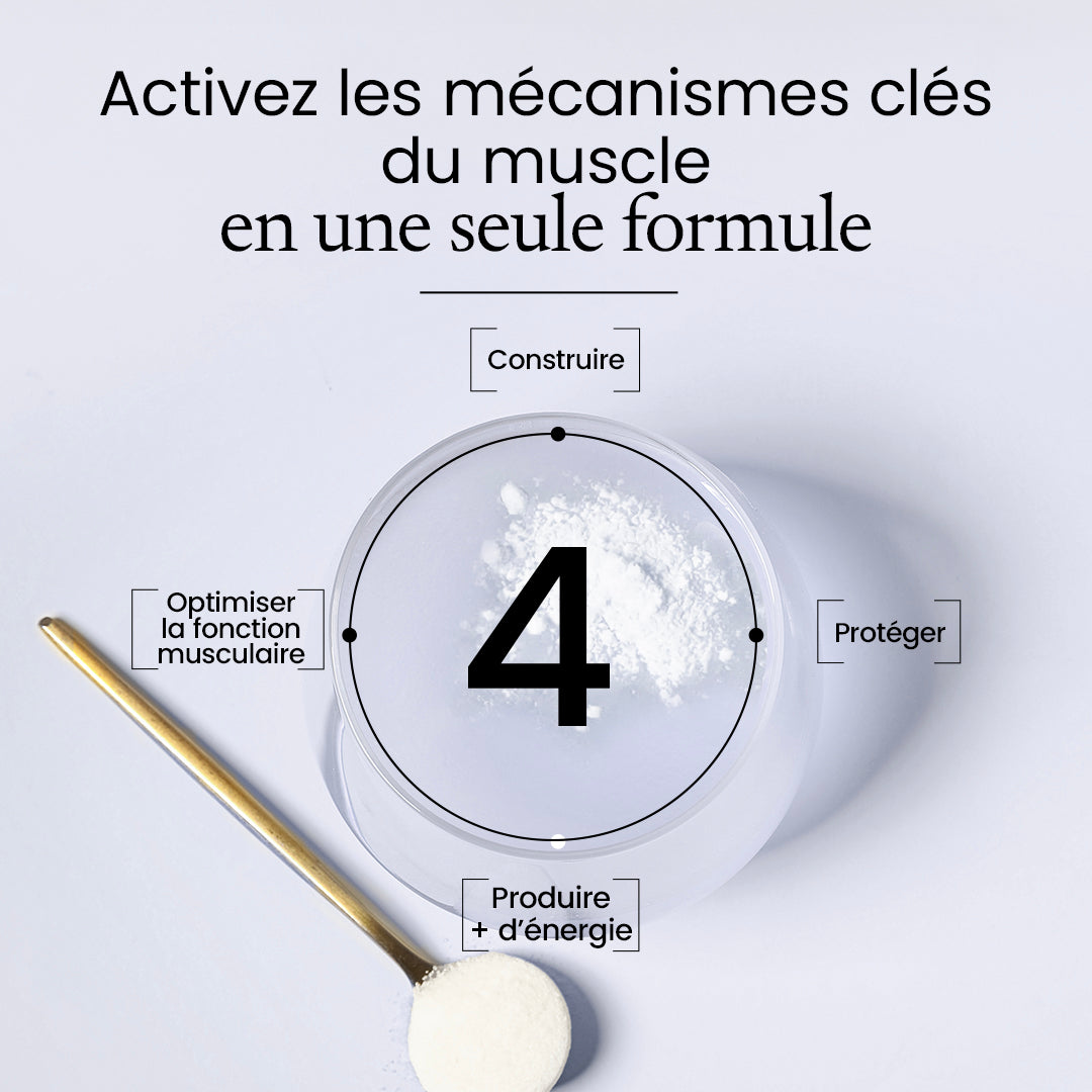 Activ'énergie Complexe Créatine
