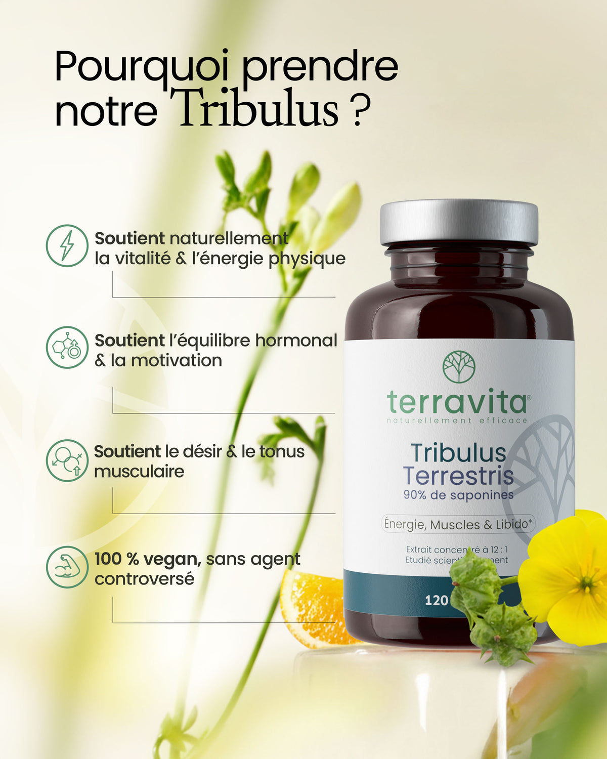 Tribulus