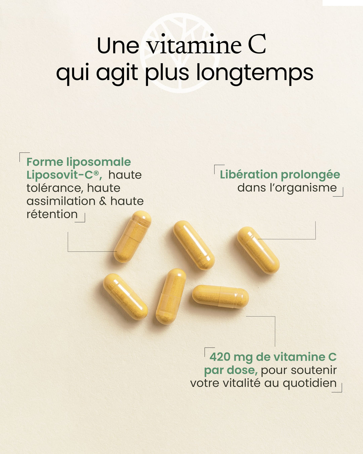 Vitamine C liposomale