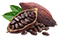Cacao