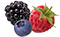Fruits rouges