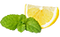 Menthe / Citron